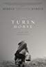 The Turin Horse packshot