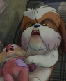 Underdog