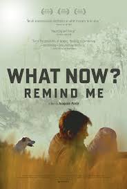 What Now? Remind Me packshot