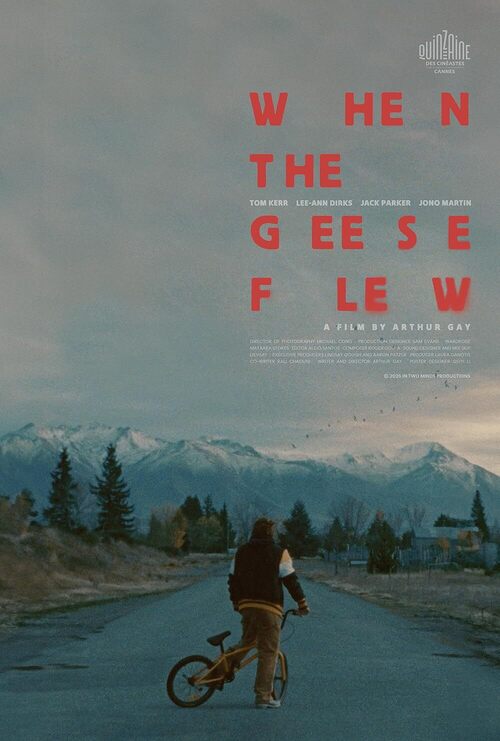 When The Geese Flew packshot
