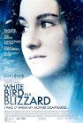 White Bird In A Blizzard packshot