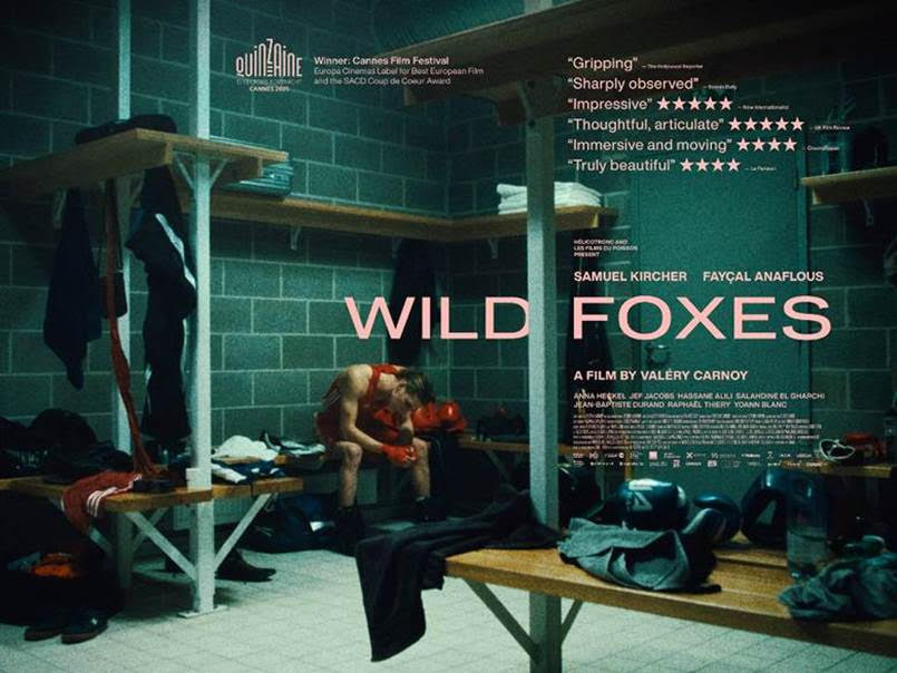 Wild Foxes packshot