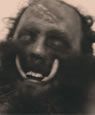 The Wild Man Of The Navidad